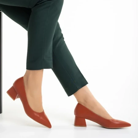 Pantofi dama cu toc Dimina maro inchis