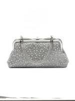 Geanta Plic 6BZ21 SILVERY | MEI